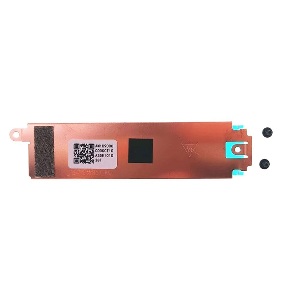 Untuk Lenovo ThinkPad X1 Carbo - M.2 Ssd Heatsink ulasan dan harga