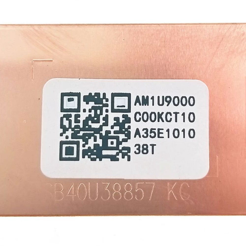 Untuk Lenovo ThinkPad X1 Carbo - M.2 Ssd Heatsink ulasan dan harga